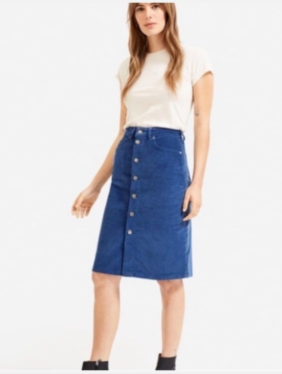 Everlane Dresses & Skirts - Everlane Skirt Womens  Baby Blue Button Front Corduroy Straight Pockets Midi 30